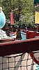IMG_20160415_123159.jpg