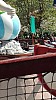 IMG_20160415_123203.jpg