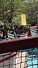 IMG_20160415_123211.jpg