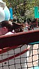 IMG_20160415_123217.jpg