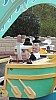 IMG_20160415_133144.jpg