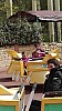 IMG_20160415_133215.jpg