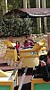 IMG_20160415_133219.jpg