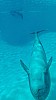 IMG_20160415_141233.jpg