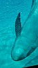 IMG_20160415_141241.jpg