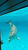 IMG_20160415_141308.jpg