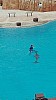 IMG_20160415_150302.jpg