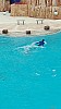 IMG_20160415_150306.jpg