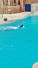 IMG_20160415_150307.jpg