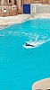 IMG_20160415_150310.jpg