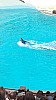 IMG_20160415_150314.jpg