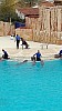IMG_20160415_150457.jpg
