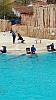 IMG_20160415_150459.jpg
