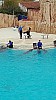 IMG_20160415_150502.jpg