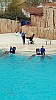 IMG_20160415_150503.jpg