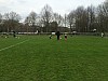 IMG_2932.jpg