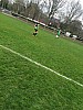 IMG_2934.jpg