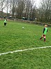 IMG_2936.jpg