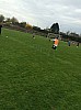 IMG_2940.jpg