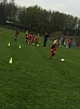 IMG_2951.jpg