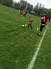 IMG_2954.jpg