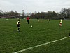IMG_2958.jpg