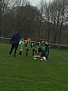 IMG_2960.jpg