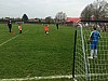 IMG_2967.jpg