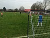 IMG_2968.jpg