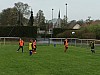 IMG_2987.jpg