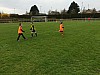 IMG_2988.jpg