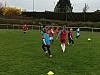 IMG_2990.jpg