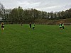 IMG_2991.jpg