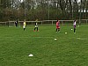 IMG_2994.jpg