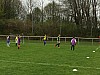 IMG_2995.jpg